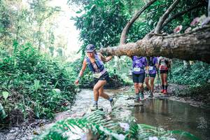 BIB: 
                            <button type="button" onclick="openModal(25443257)" class="btn btn-primary btn-sm float-right btn-popup" data-toggle="modal" data-target=".modal-high-quality">
                        <i class="fas fa-shopping-cart"></i> Add to Cart
                    </button>
                                            <button type="button" onclick="isThisMe(25443257, true)" class="btn btn-success btn-sm float-right btn-popup btn-isme hidden" data-toggle="tooltip" data-placement="bottom" title="นี่คือรูปของคุณใช่ไหม คลิกที่นี่เพื่อเอาเข้าอัลบั้ม">
                        <i class="fas fa-plus"></i> Add to album
                    </button>
                    <button type="button" onclick="isThisMe(25443257, false)" class="btn btn-warning btn-sm float-right btn-popup btn-isnotme hidden">
                        <i class="fas fa-ban"></i> Remove from album
                    </button>